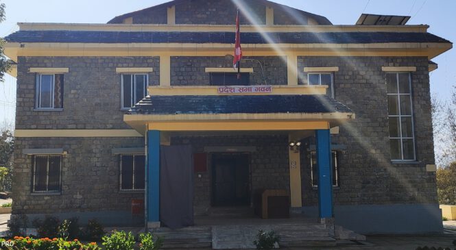 सामान्य लेखपढदेखि ‘डबल डिग्री’सम्म