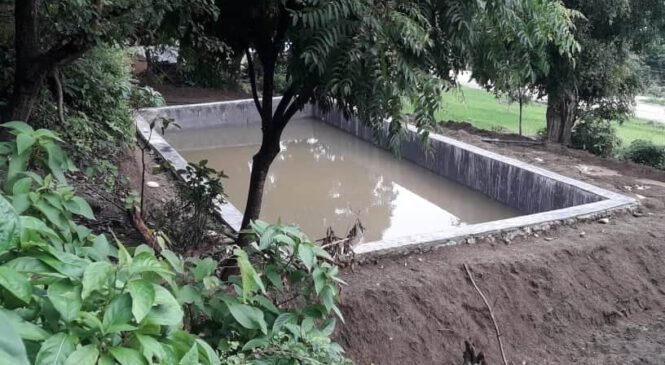 वडाध्यक्ष शाहले सरकारी बजेटबाट बनाए आफ्नै खेतमा पानीपोखरी