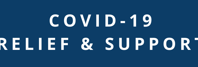 हिंसा पीडित महिलाहरूलाई आर्थिक सहयोग