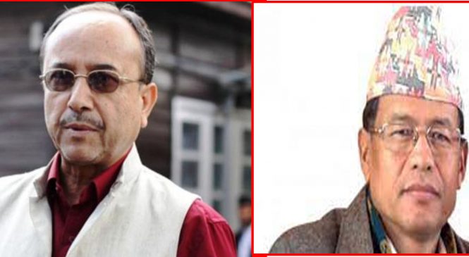 खड्का र गुरूङ काँग्रेस उपसभापतिमा निर्वाचित