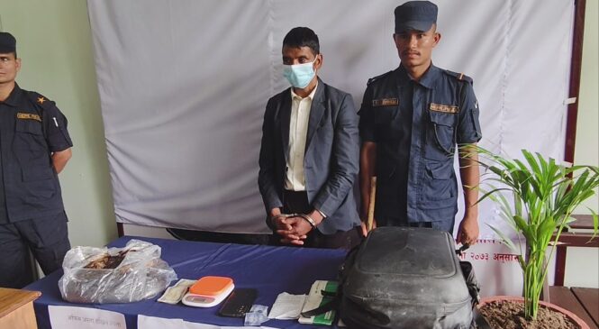साढे पाँच किलो अफिमसहित एक जना पक्राउ